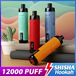 FIHP Shisha Hookah 12000 Puffs Disposable Vape Pen 20ml E Liquid Rechargeable 650mAh Battery for Wholesale 27