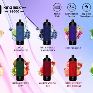 Widely Loved BREZE BS King Max Pro 18000 Puffs Disposable Vape Low Nicotine Bulk Purchase Wholesale 4