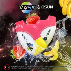Vasy Disposable Vapes