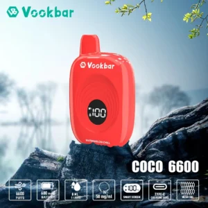 Original Factory Vookbar COCO 6600 Puffs 500mAh Rechargeable Wholesale Disposable Vapes 3% Low Nicotine