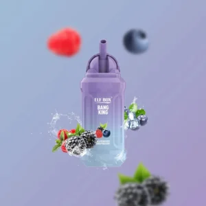ELF BOX BK 12000 Puffs Disposable Vape 23ml E-Liquid Low Nicotine With 10 Flavors Wholesale Bulk 1