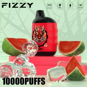 Fizzy Great 10000 Puffs Disposable Vape 2% 5% Low Nicotine Wholesale Bulk Buy