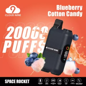 CLOUD NINE Disposable Vapes
