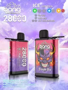Shop Bang 28000 Puffs Wholesale: Quality and Savings Await 1