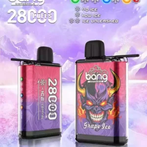 Shop Bang 28000 Puffs Wholesale: Quality and Savings Await 1